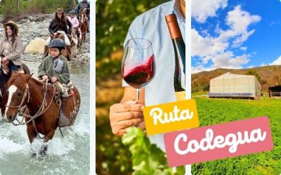 La Ruta de Codegua